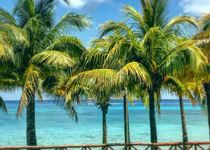 Apartamento Affordable Luxury 3br The Has To Offer It Is The Landmark Cozumel